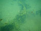 Mono Lake 04